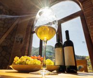 Alto Adige DOC Gewurztraminer, vino ottimo come aperitivo, con crostacei, molluschi e fegato d'oca