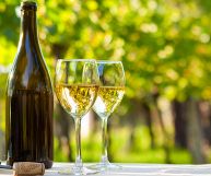 I bicchieri di vino Alto Adige Pinot Bianco DOC