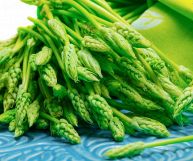 Un ingrediente buonissimo e salutare da portare in tavola con tantissime preparazioni. Scopriamo le caratteristiche nutrizionali dell'asparagina