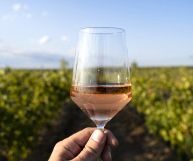 Bardolino Chiaretto DOC, vino ottimo con il pesce di lago e funghi