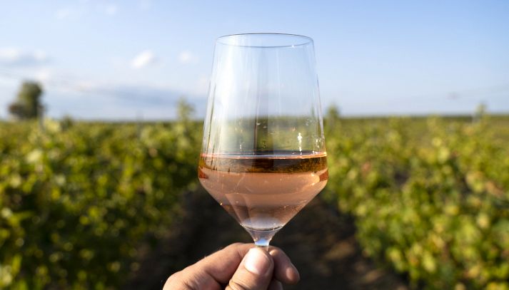 Bardolino Chiaretto DOC, vino ottimo con il pesce di lago e funghi