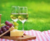 Bianco di Aprilia DOC, vino ottimo con antipasti di mare e piatti di pesce delicati