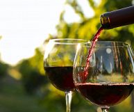 I calici di Breganze Cabernet DOC