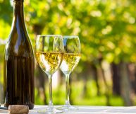 Breganze Chardonnay DOC