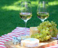 Candia dei Colli Apuani DOC, vino ottimo con pesce e minestre