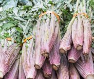 i cardi sono un ingrediente ottimo per tante ricette