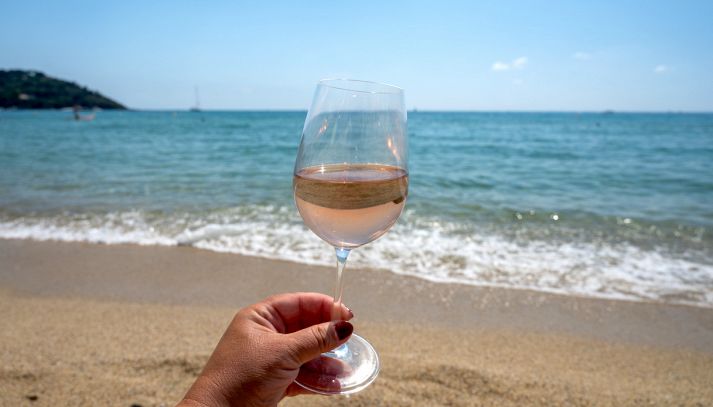 Castel del Monte DOC Rosato, vino ottimo con antipasti e piatti a base di pesce e verdure