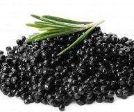 Isolato su un piano bianco, grandi palline di caviale caratterizzate da un colore nero intenso con riflessi lucidi. Sopra un piccolo rametto di rosmarino