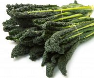 Il cavolo nero è una verdura crucifera ricca di interessanti proprietà nutrizionali: scopriamo insieme i suoi benefici e le controindicazioni