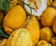 i cedri sono un ingrediente ottimo per tante ricette
