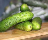 Cetriolini: tutte le proprietà e i valori energetici