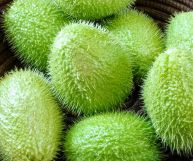 Vediamo insieme quali sono le caratteristiche e i valori nutrizionali legati alla preparazione delle zucchine spinose, amiche della cucina e della salute