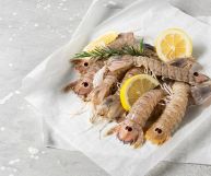 Le cicale di mare sono crostacei conosciuti anche col nome di canocchie: scopriamo come vengono impiegate in cucina