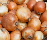 Una cipolla dal sapore delicato e tendente al dolce, ecco le caratteristiche della cipolla dorata