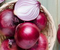 Dal bulbo rotondo, la cipolla rosa toscana è una varietà regionale di un ortaggio che non può mancare sulle nostre tavole