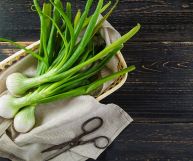 il cipollotto è un ingrediente ottimo per tante ricette