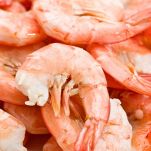 Vediamo insiemeVediamo insieme cosa sono le code di gamberetti, le loro caratteristiche principali quali sono i loro valori nutrizionali e in quali ricette vengono utilizzati cosa sono le code di gamberetti, quali sono i loro valori nutrizionali e in quali ricette vengono utilizzati