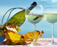 Colli Berici Garganega DOC