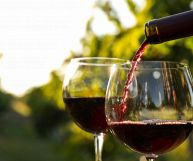 Colli Berici Merlot DOC