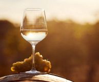 Colli di Parma DOC Malvasia, vino ottimo con il pesce