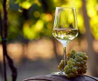 Colli Euganei DOC Pinot Bianco, vino ottimo con il pesce