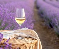 Colli Euganei DOC Tai, vino ottimo con ricette di verdure