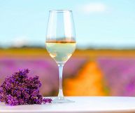 Colli Orientali del Friuli DOC Chardonnay, vino ottimo con pesce, crostacei e frutti di mare