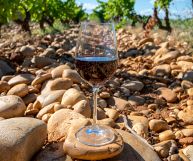 Colli Orientali del Friuli DOC Merlot, vino ottimo con la carne