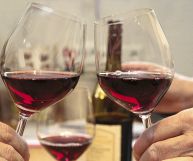 Colli Piacentini DOC Pinot Nero, vino ottimo con risotti di verdure e tortelli di zucca