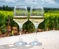 Collio Friulano DOC, vino ottimo con il pesce