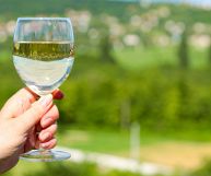 Collio Picolit DOC, vino da fine pasto ottimo con dolci alla frutta