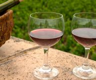 Collio Pinot Nero DOC, vino ottimo con i brasati