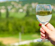 Collio Riesling Italico DOC, ottimo con antipasti di mare e grigliate di pesce