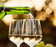 Controguerra DOC Chardonnay, vino ottimo con i piatti marinari di pesce