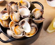 Quali sono le caratteristiche principali e i valori nutrizionali legati ai cuori di mare, con tutti gli utilizzi in cucina nei primi e nei piatti unici