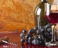 Dolcetto delle Langhe Monregalesi DOC, vino ottimo con la carne e il carpaccio