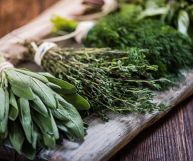 Ingredienti straordinari dal punto di vista aromatico e salutare: scopriamo tutte le caratteristiche delle erbe aromatiche