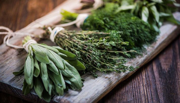 Ingredienti straordinari dal punto di vista aromatico e salutare: scopriamo tutte le caratteristiche delle erbe aromatiche