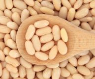 Fagioli cannellini: legumi versatili e gustosi