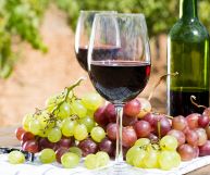 Falerno del Massico Primitivo DOC