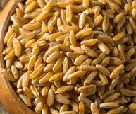 Altamente digeribile, la farina di Kamut è un ottimo ingrediente per chi ha problemi di digestione