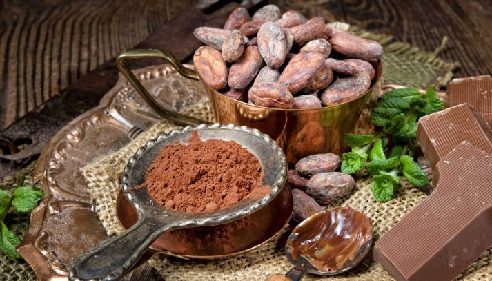 Le fave di cacao sono ricche di nutrienti essenziali e hanno proprietà virtuose: scopriamo le caratteristiche e gli usi in cucina