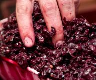 La feccia di vino (deposito) è lo scarto ottenuto dalla lavorazione del vino. E può essere utilizzato in cucina