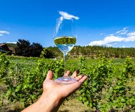 Fiano di Avellino DOCG, vino ottimo con piatti tipici marinari