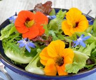 i fiori eduli sono un ingrediente ottimo per tante ricette