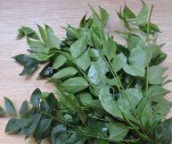 Le foglie di curry hanno un colore verde accesso e aggiungono un sapore fresco e unico ai vostri piatti