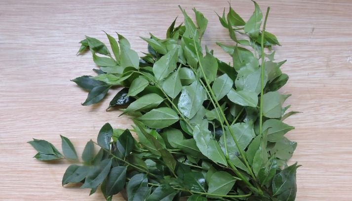 Le foglie di curry hanno un colore verde accesso e aggiungono un sapore fresco e unico ai vostri piatti