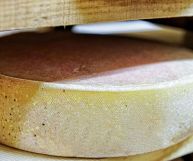 la fontina è un ingrediente ottimo per tante ricette