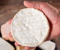 Scopriamo caratteristiche e proprietà della formaggetta savonese, un formaggio ligure molto apprezzato. Le ricette migliori e gli abbinamenti, come si mangia