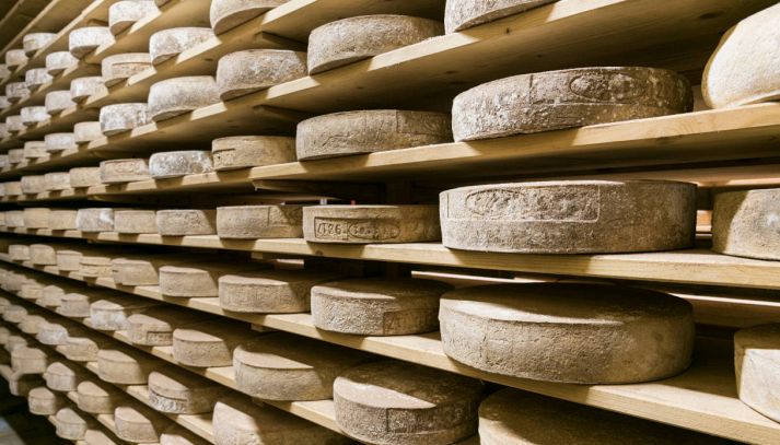 Il formaggio Casera è un prodotto unico della Valtellina che entra a far parte delle migliori ricette della tradizione: vediamo caratteristiche e valori nutrizionali